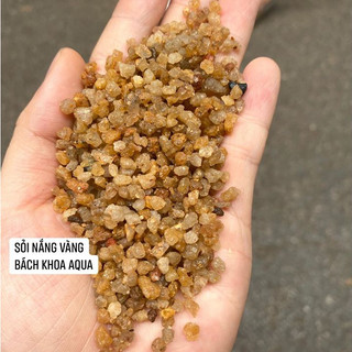 Sỏi nắng vàng Colorado trải nền bể cá lẻ 0,5kg/1kg