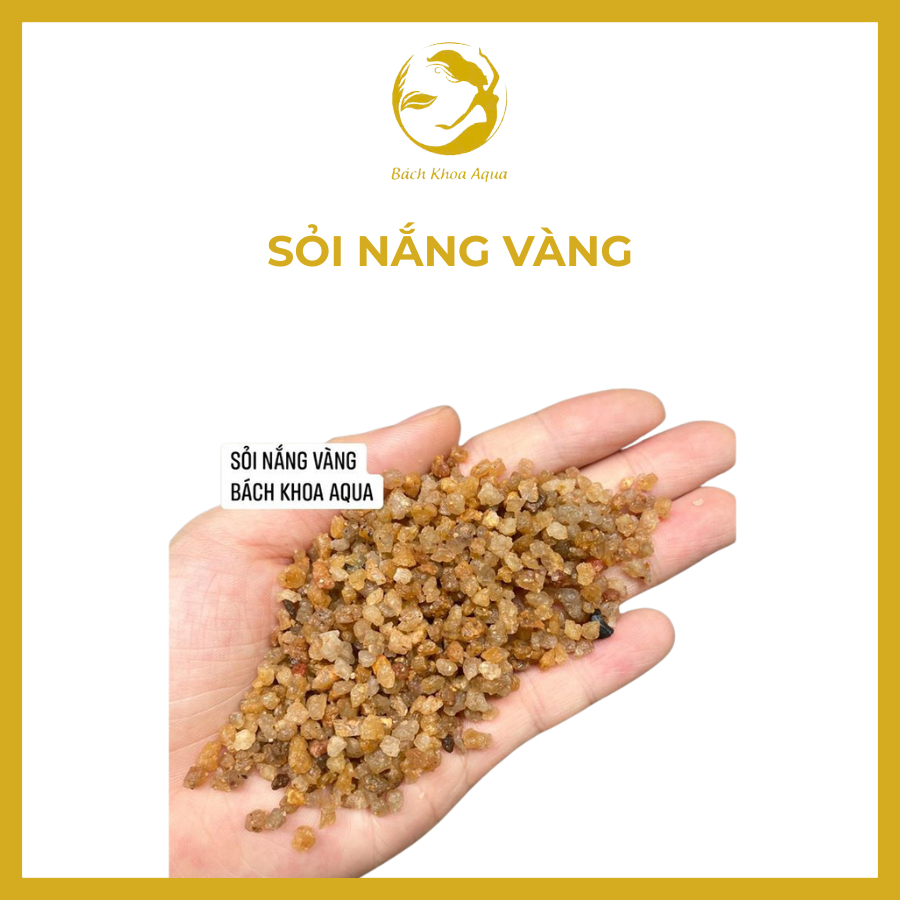Sỏi nắng vàng Colorado trải nền bể cá lẻ 0,5kg/1kg