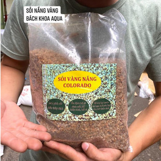 Sỏi nắng vàng Colorado trải nền bể cá lẻ 0,5kg/1kg