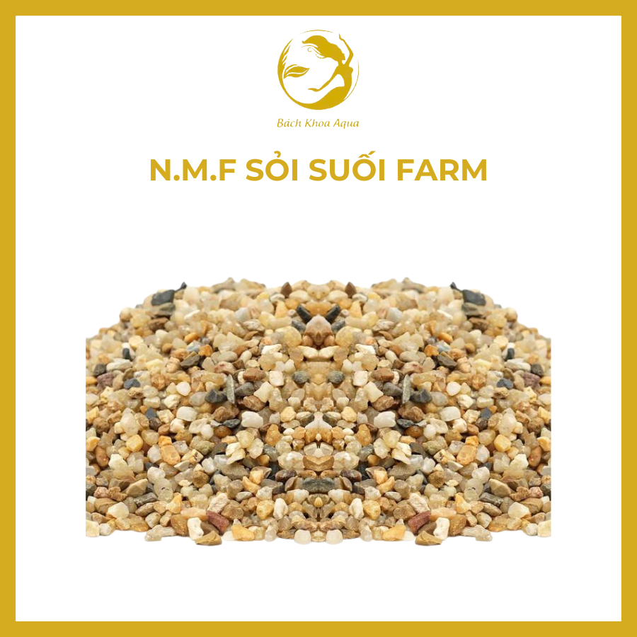 N.M.F Sỏi Suối Farm - Trải nền bể thủy sinh lẻ 0,5kg/1kg
