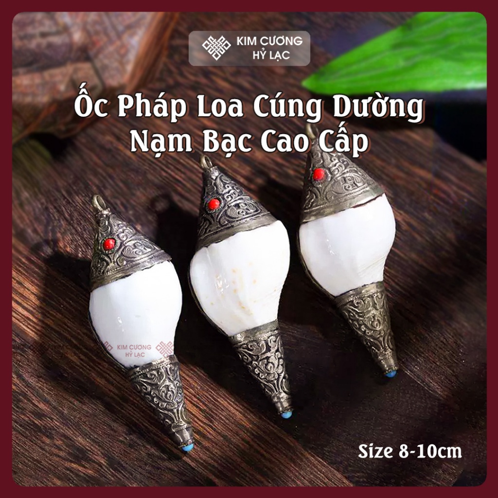 Ốc Pháp Loa, Ốc Cúng Dường Âm Thanh [Mật Tông Việt Nam] Có Nhiều Size - Nepal