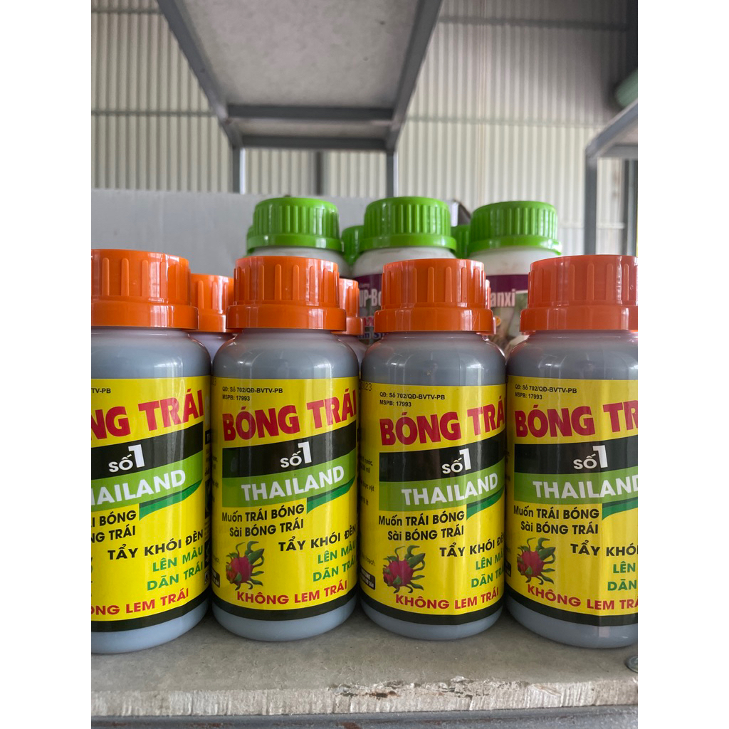 Bóng trái thanh long (250ml) - hạn chế khói đèn, sáng trái, xanh tai (que) thanh long, lớn trái than