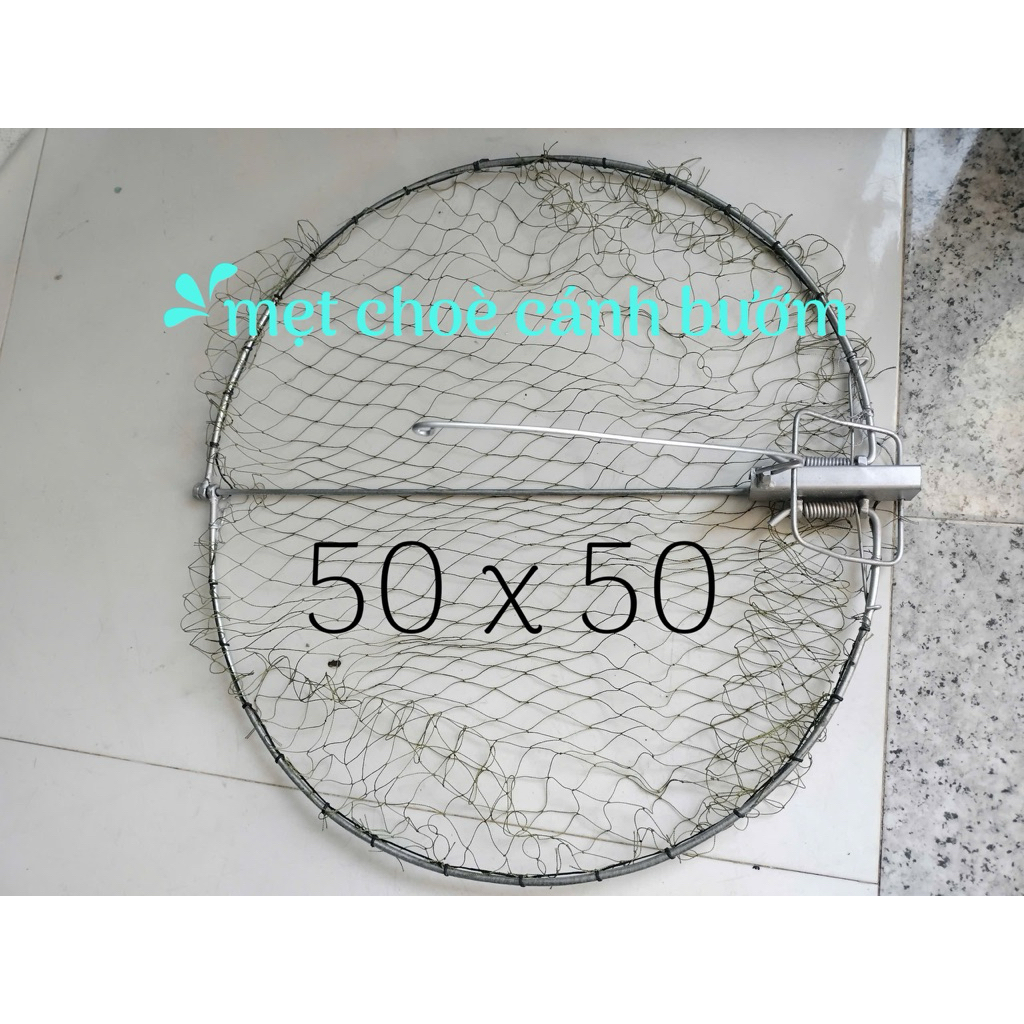 mẹt tròn cánh bướm choè mi khứu chào mào