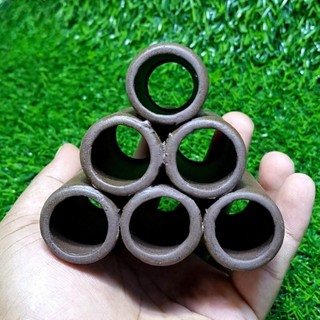 Hang Trú Ẩn Cho Tép - Đồ Chơi Tép