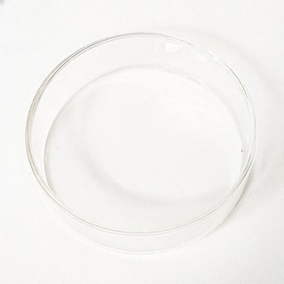 Chén Đựng Thức Ăn Cho Tép Cảnh (Thủy Tinh)