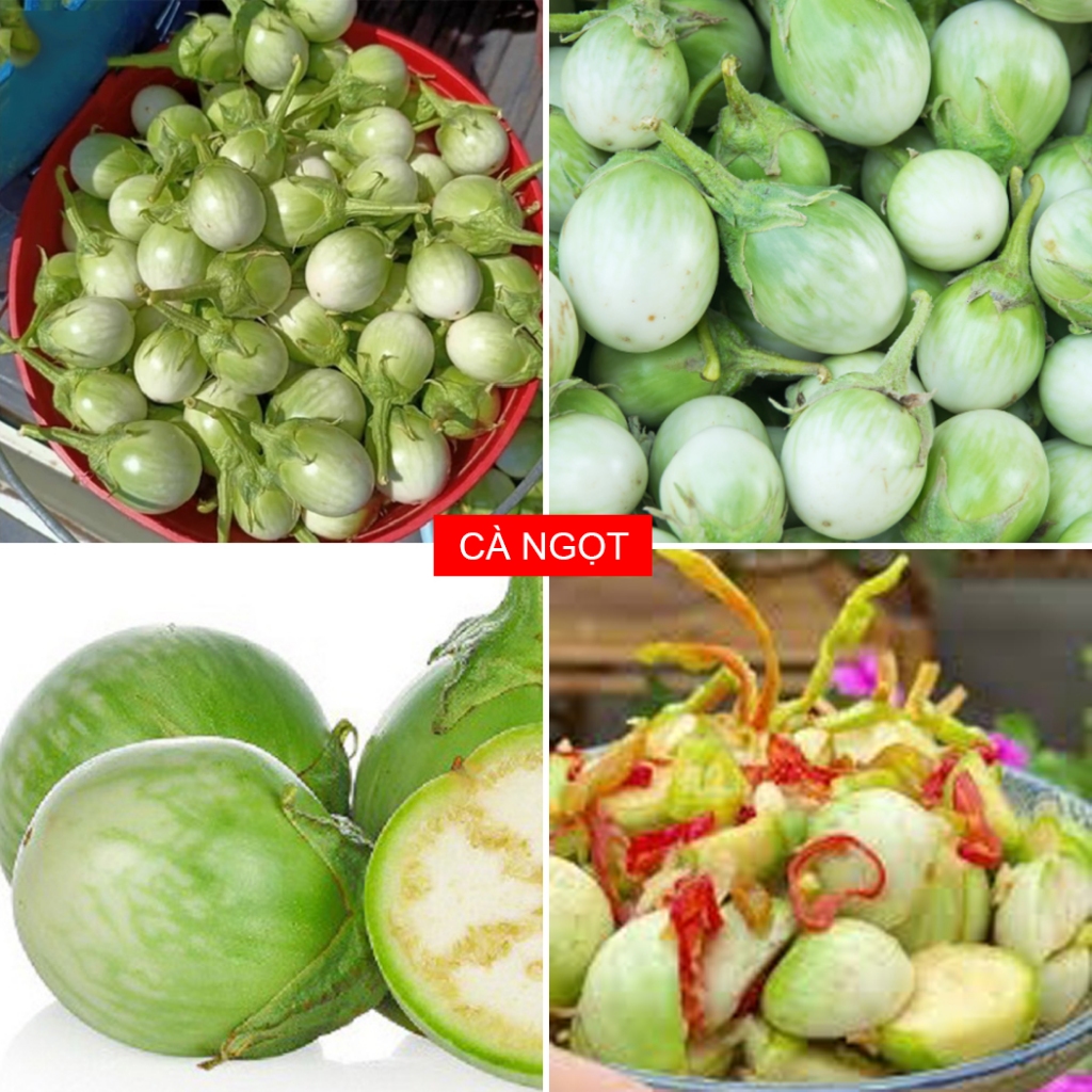 Hạt Giống Cà Ngọt F1 - Siêu Sai Trái, Thu Hoạch Sớm, Dễ Trồng, Năng Suất Cao