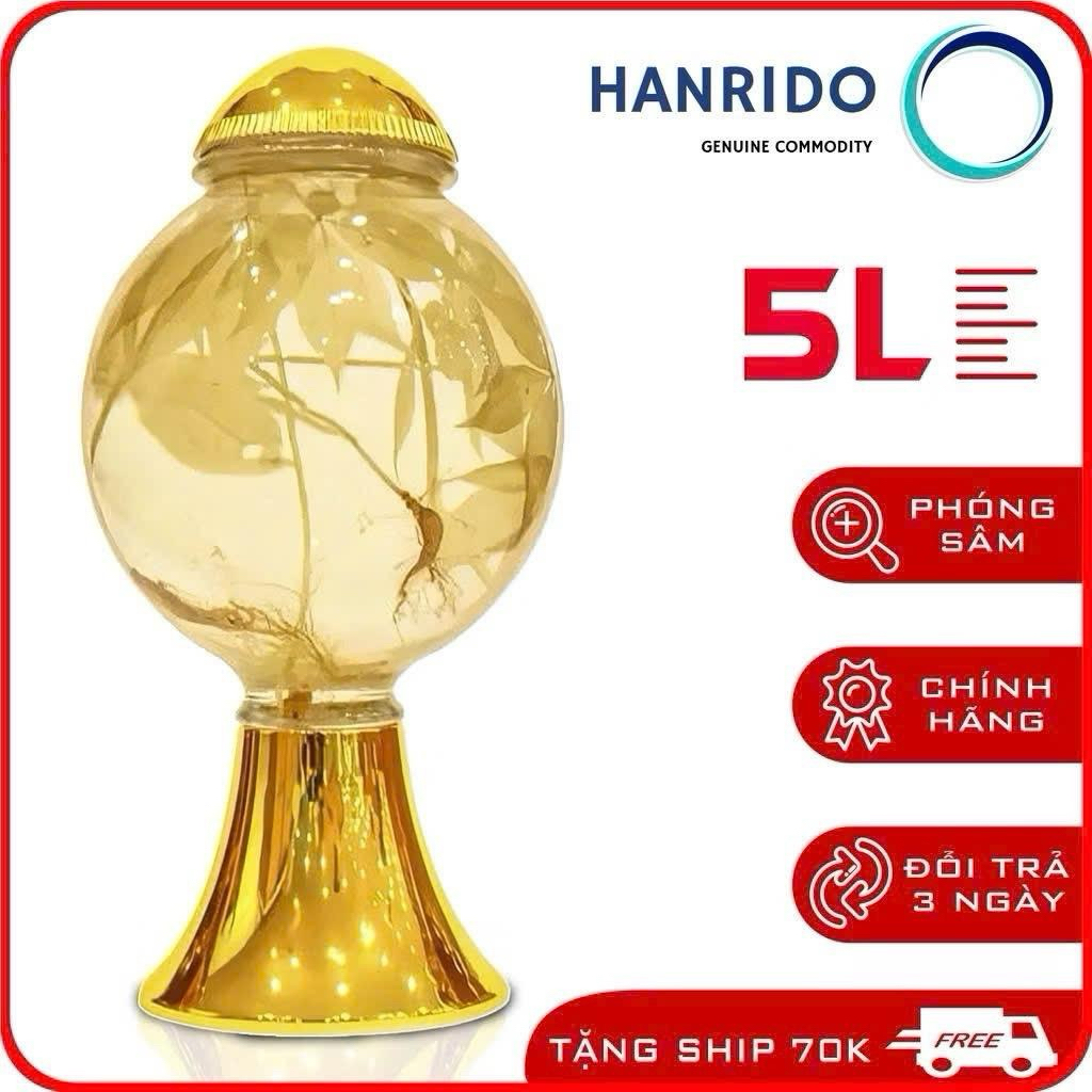 [ CHÍNH HÃNG ] Bình Ngâm Rượu Hàn Quốc 5 Lít , Bình Thuỷ Tinh Yongcheon