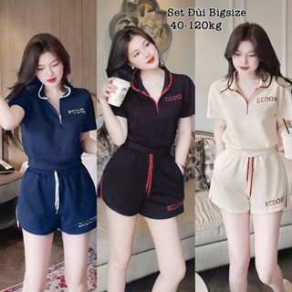  Set bộ đùi thun tăm bigsize thiết kế Viền Cổ Bẻ Có Kgoa1 Kéo in Chữ thể thao năng động chất vải co giãn thoáng mát 2488 