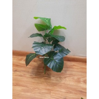 Cây Giả - Cây Trầu Bà 55cm