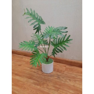 Cây Giả - Cây Trầu Bà 55cm
