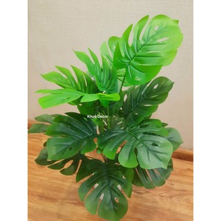 Cây Giả - Cây Trầu Bà 55cm