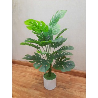 Cây Giả - Cây Trầu Bà 55cm