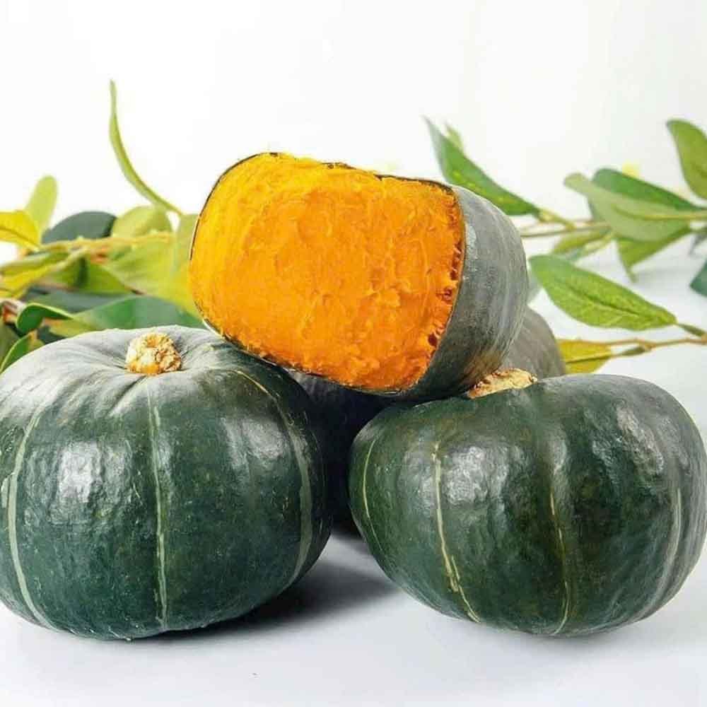 Hạt giống Bí Ngô Hạt Dẻ_Bí Xanh Nhật Bản chịu nhiệt nhập Thái Lan nguyên gói