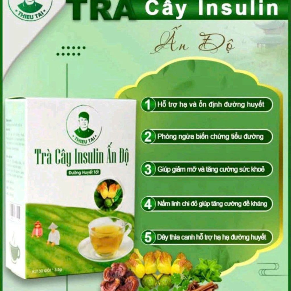 TRÀ INSULIN ẤN ĐỘ - HỖ TRỢ NGƯỜI BỊ TIỂU ĐƯỜNG