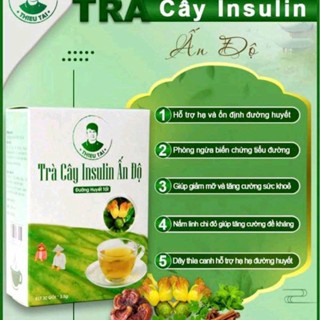 TRÀ INSULIN ẤN ĐỘ - HỖ TRỢ NGƯỜI BỊ TIỂU ĐƯỜNG