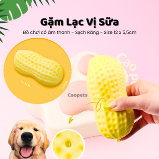  Xương gặm cho chó mèo vị sữa đồ chơi có âm thanh mài răng làm sạch răng cho thú cưng - CaoPets 