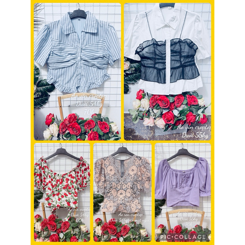 Áo vin ngắn tay dáng croptop ngắn