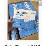 Khẩu Trang VN95