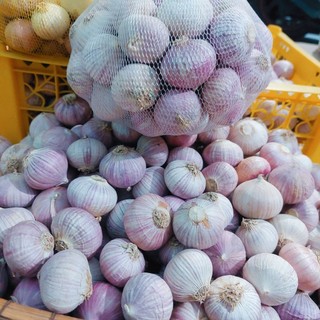 Tỏi Cô Đơn lớn ( LOẠI 1 )  Làm Tỏi Đen vv....