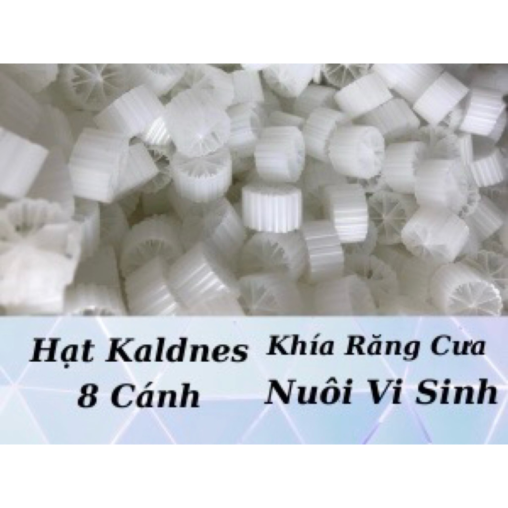 HẠT LỌC KANET KALNES KHÍA 8 CÁNH VẬT LIỆU LỌC NƯỚC TỐT CHO BỂ CÁ