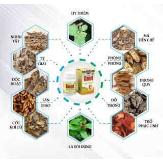 Viên Gout Tâm Bình (Hộp 60 viên)