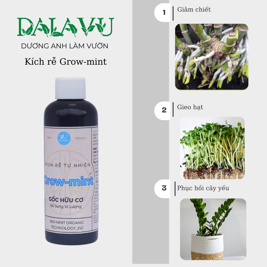 Kích rễ Grow-mint | kích rễ gốc hữu cơ | giâm chiết cành, phục hồi cây yếu | Lọ 100ml pha 10L nước