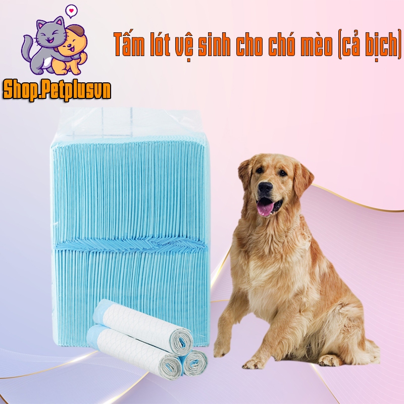 Tã Lót Vệ Sinh Cho Chó Mèo Siêu Thấm Hút - Miếng Lót Khay Vệ Sinh Thú Cưng Khử Mùi Kháng Khuẩn Đủ Size