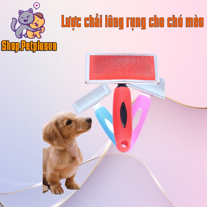 Lược chải lông rụng I Lược chải bông lông cho chó mèo