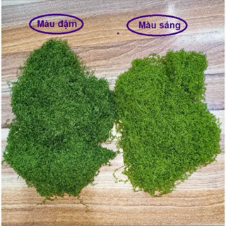  Cỏ rêu 1kg phủ gốc cây rêu sợi nhân tạo trang trí chậu cây để bàn tiểu cảnh sân vườn nhiều màu decor tường cỏ 