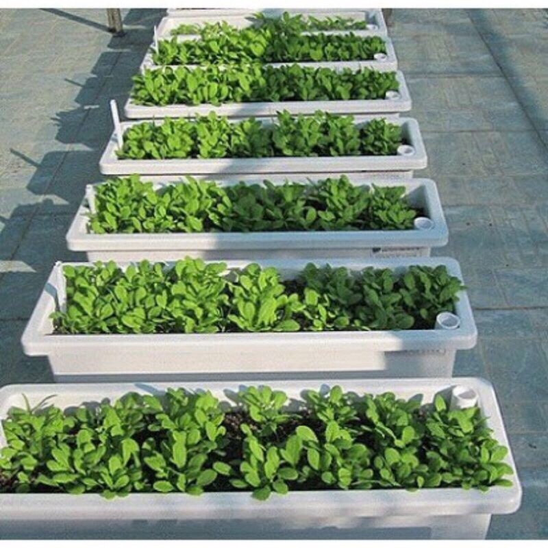 Chậu nhựa hình chữ nhật trồng hoa,trồng rau,trồng cây cảnh thông minh 48x20x12cm bền đẹp cho gia đình