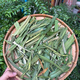 Lá dứa (lá nếp) sấy lạnh, tạo màu và mùi thơm tự nhiên cho các món xôi lá nếp, mứt dừa, thạch rau câu, các loại bánh