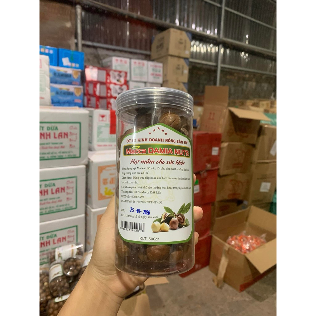 hạt macca daklak