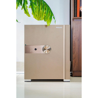 Két sắt thông minh Philips model SBX 202 - 5C0 nặng 50 kg