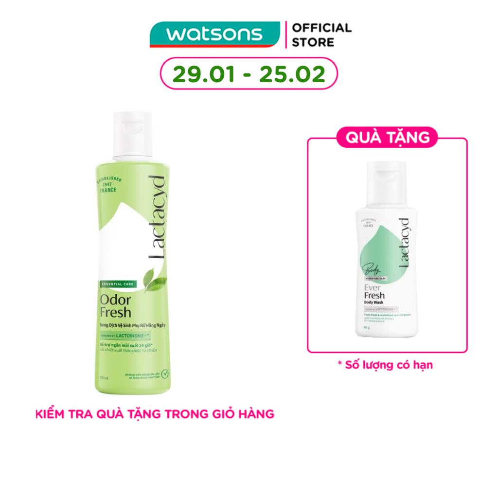 Dung Dịch Vệ Sinh Phụ Nữ Lactacyd Từ Lá Trầu Không&Nước Hoa Hồng Ngày Dài Tươi Mát Ngăn Mùi 24h 250m