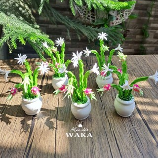 Hoa Đất Sét Mini- Cây Thanh Long 12cm