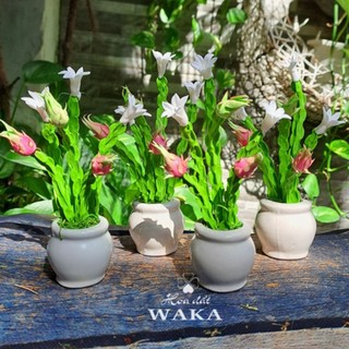 Hoa Đất Sét Mini- Cây Thanh Long 12cm
