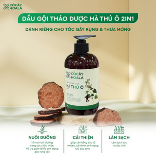 🌸 Dầu Gội Thảo Dược Hà Thủ Ô 2in1 Cỏ Cây Hoa Lá 450g – Giảm Rụng Tóc – Mỹ Phẩm Tự Nhiên Chính Hãng