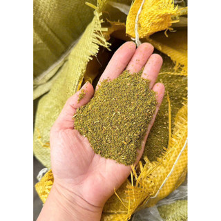 Bột cây Bách Xù - Bột Bách cao cấp - Cúng khói(1kg) [PBMC]