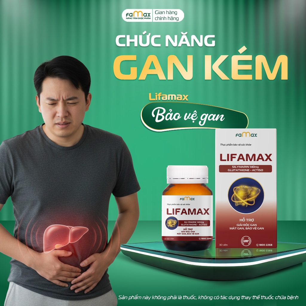 Giải độc gan Lifamax (Dược Famax) dành cho người chức năng gan kém (hộp 30 viên)