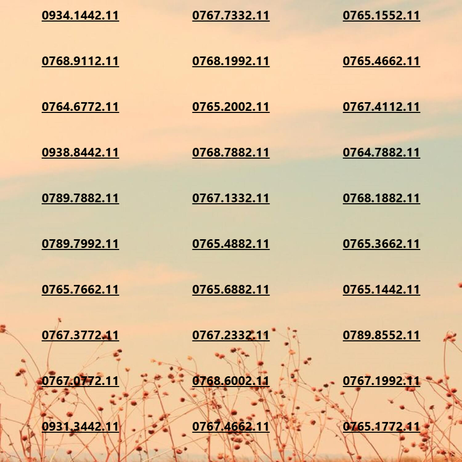 [Nguyên KIT - Hỗ Trợ Esim] Sim Mobifone Đuôi 211 Phong Thủy