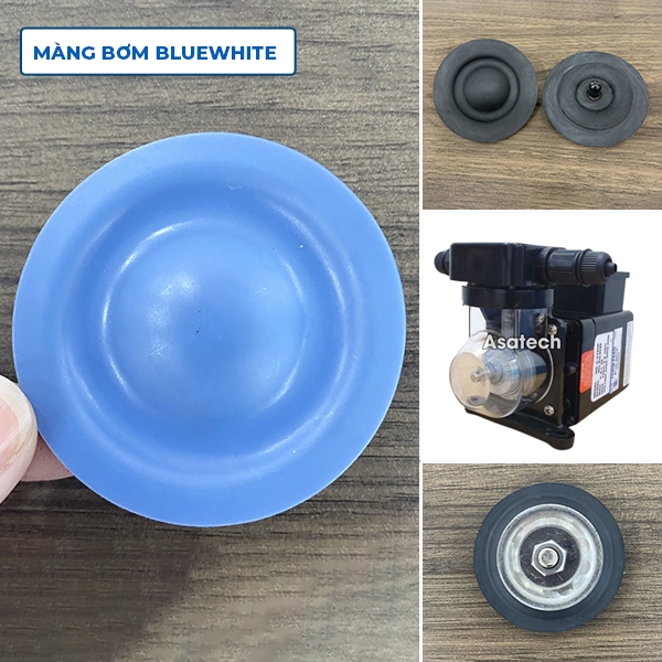 Màng bơm định lượng Blue white C660P, C6125P vật liệu Teflon - Cao su, Màng bơm BLUEWHITE