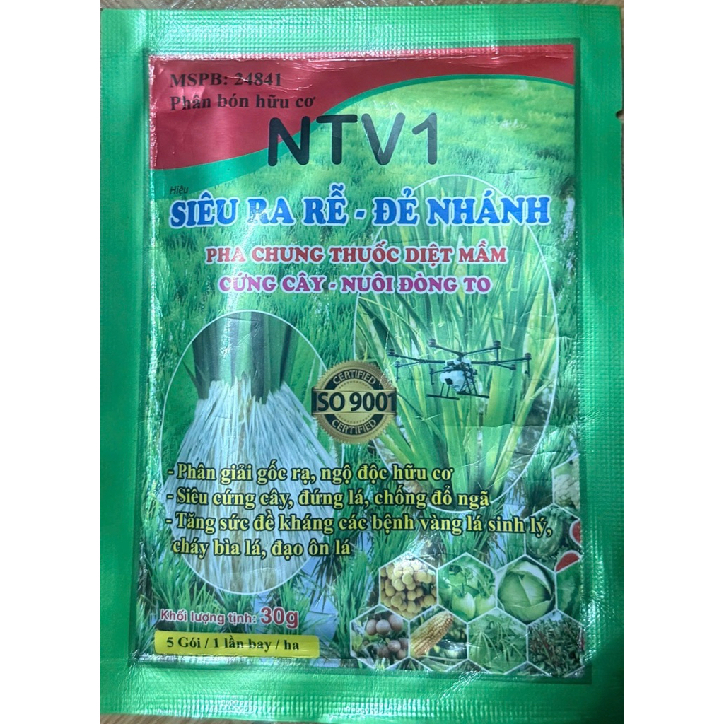 Siêu Ra Rễ - Đẻ Nhánh