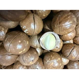 Macca nứt vỏ tự nhiên 500g size to