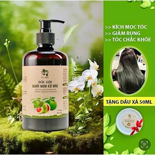 Dầu Gội Bưởi Non mọc tóc, giảm bết dầu, tóc bồng bềnh [Tặng xả tóc 50gr]