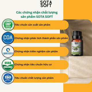 Tinh Dầu Tràm Trà 10ml | Tea Tree Essential Oil