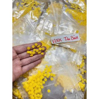 Hoa mai vàng làm dấu trâm nội nha máy cho nha sĩ