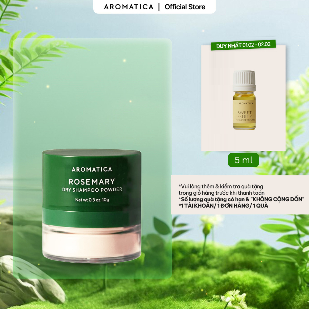 Phấn Gội Khô Hương Thảo AROMATICA Rosemary Dry Shampoo Powder 10g