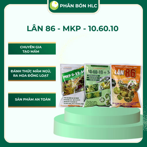 Bộ 3 MKP - LÂN 86 - 10 60 10 Giúp Tạo Mầm, Già Lá, Ra Hoa Đồng Loạt Gói 1Kg