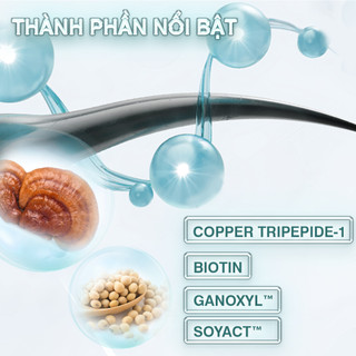 Combo Dầu Gội, Dầu Xả, Ủ Oil, Xịt Dưỡng Tóc Biotin AAH Chăm Sóc Và Phục Hồi, DưỡngTóc Toàn Diện