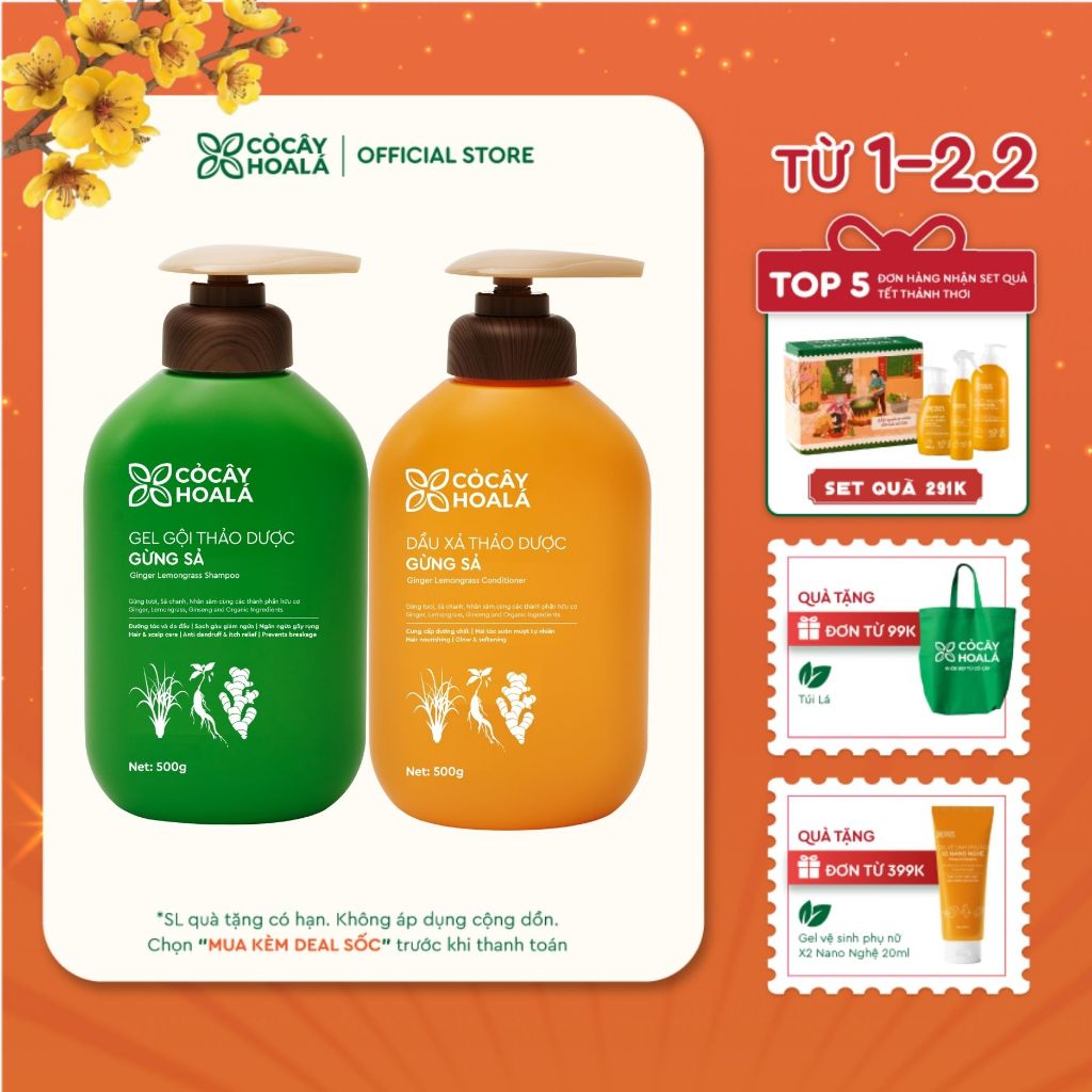 [HỎA TỐC] [LIVE KOL] Dầu Gội Xả Thảo Dược Cỏ Cây Hoa Lá Gừng Sả Hỗ Trợ Làm Sạch Da Dầu, Ngăn Ngừa Gà